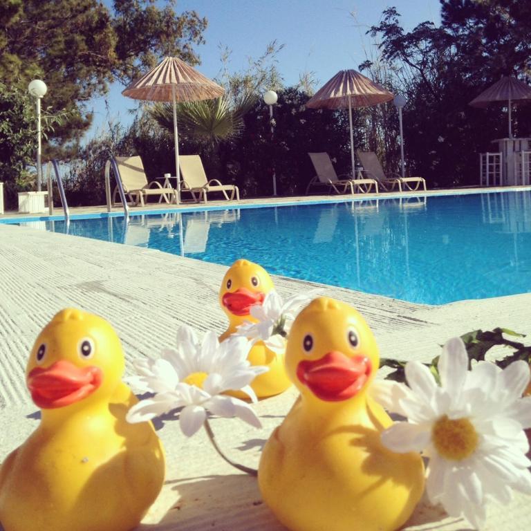 Home Hotel (Adults Only) Hersonissos (Crete) Quarto foto